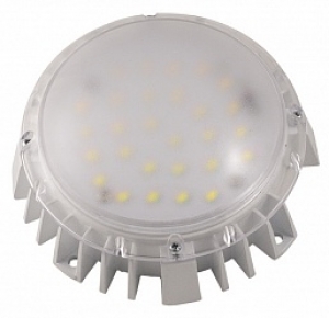 Светодиодный светильник ЖКХ Селена-10