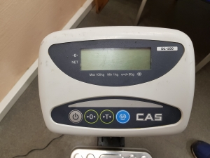 Товарные весы напольные CAS DL-100